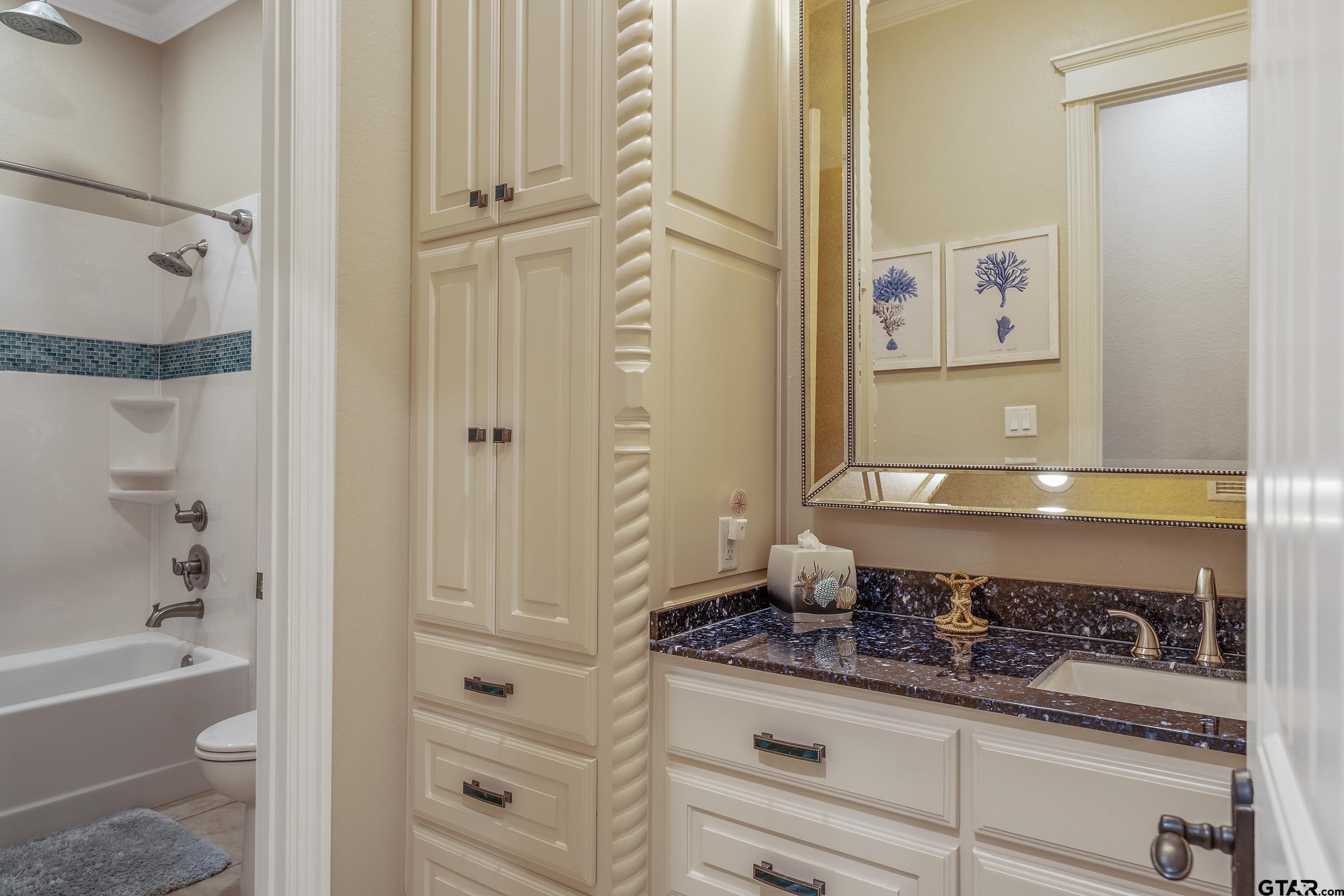 17521 Biltmore Circle Tyler, TX 75703 - Photo 33 of 48 a bathroom with a granite countertop sink a toilet and shower