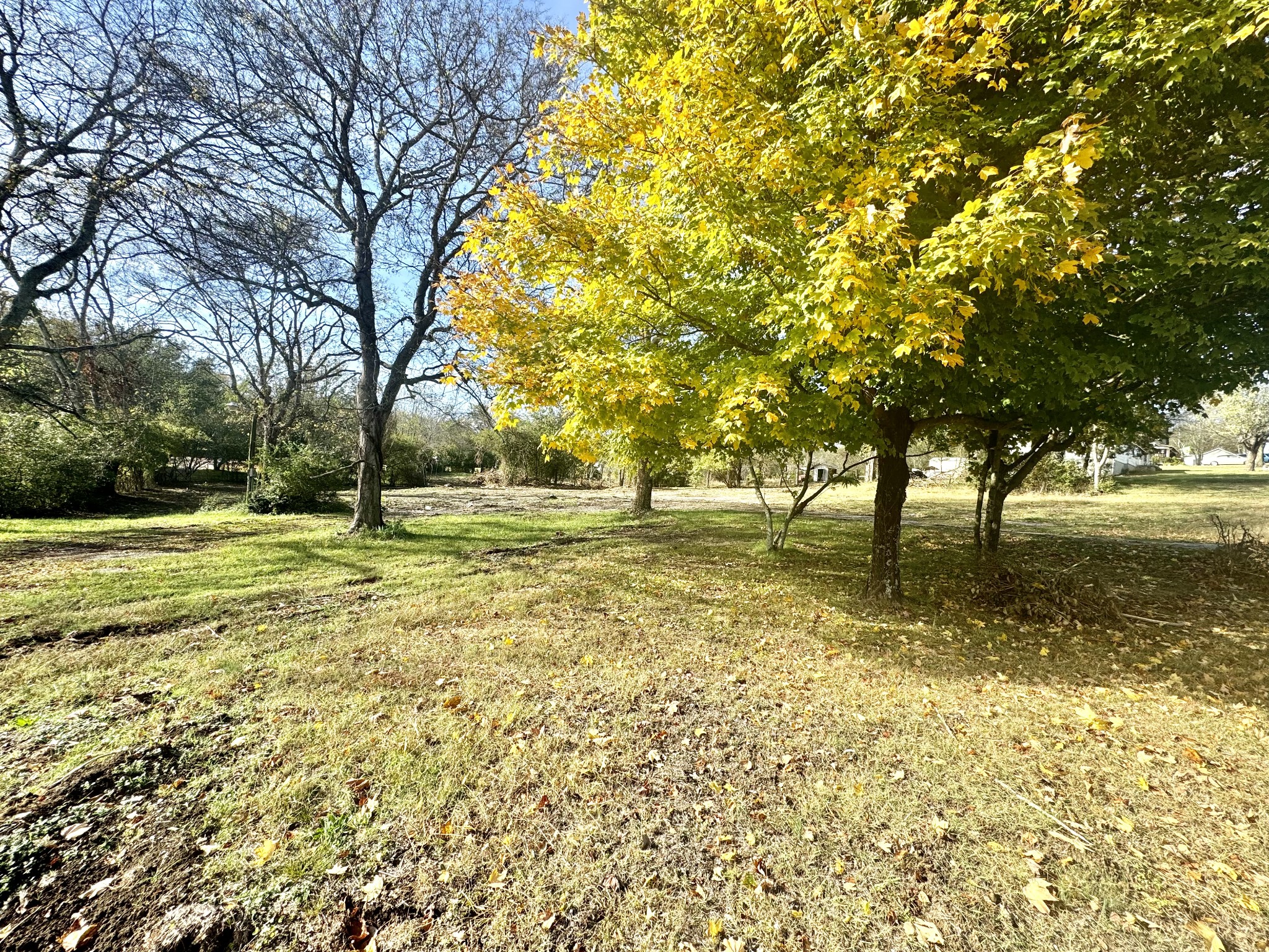 a view of outdoor space with garden