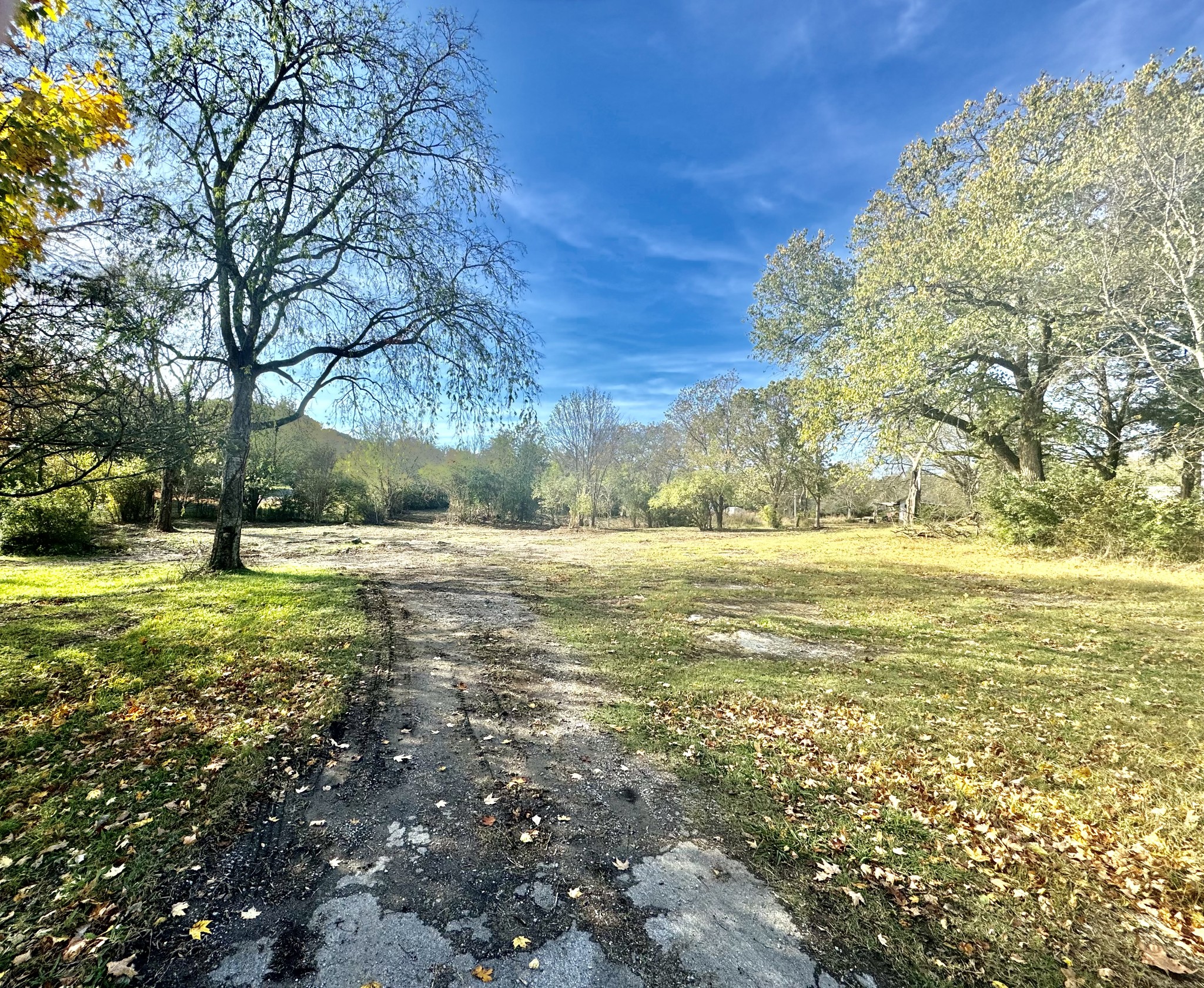 1191 Nonaville Road Mount Juliet, TN 37122 - Photo 2 of 2 a view of yard with large trees