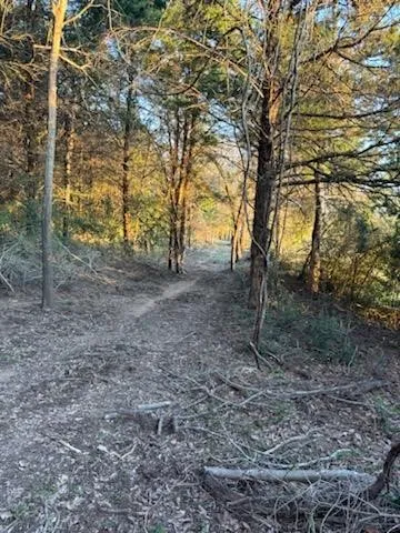 $320,625 | 521 Fcr, Fairfield, TX 75840