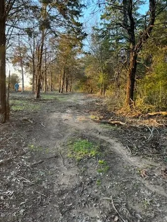 $320,625 | 521 Fcr, Fairfield, TX 75840