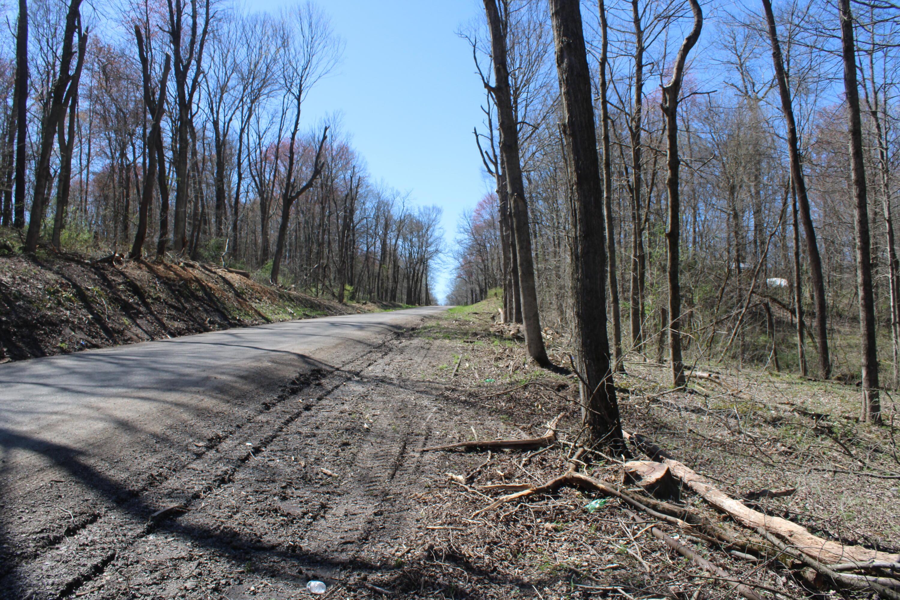 0 Butcher Knife Road Somerset, OH 43783 - Photo 4 of 7 IMG_5408