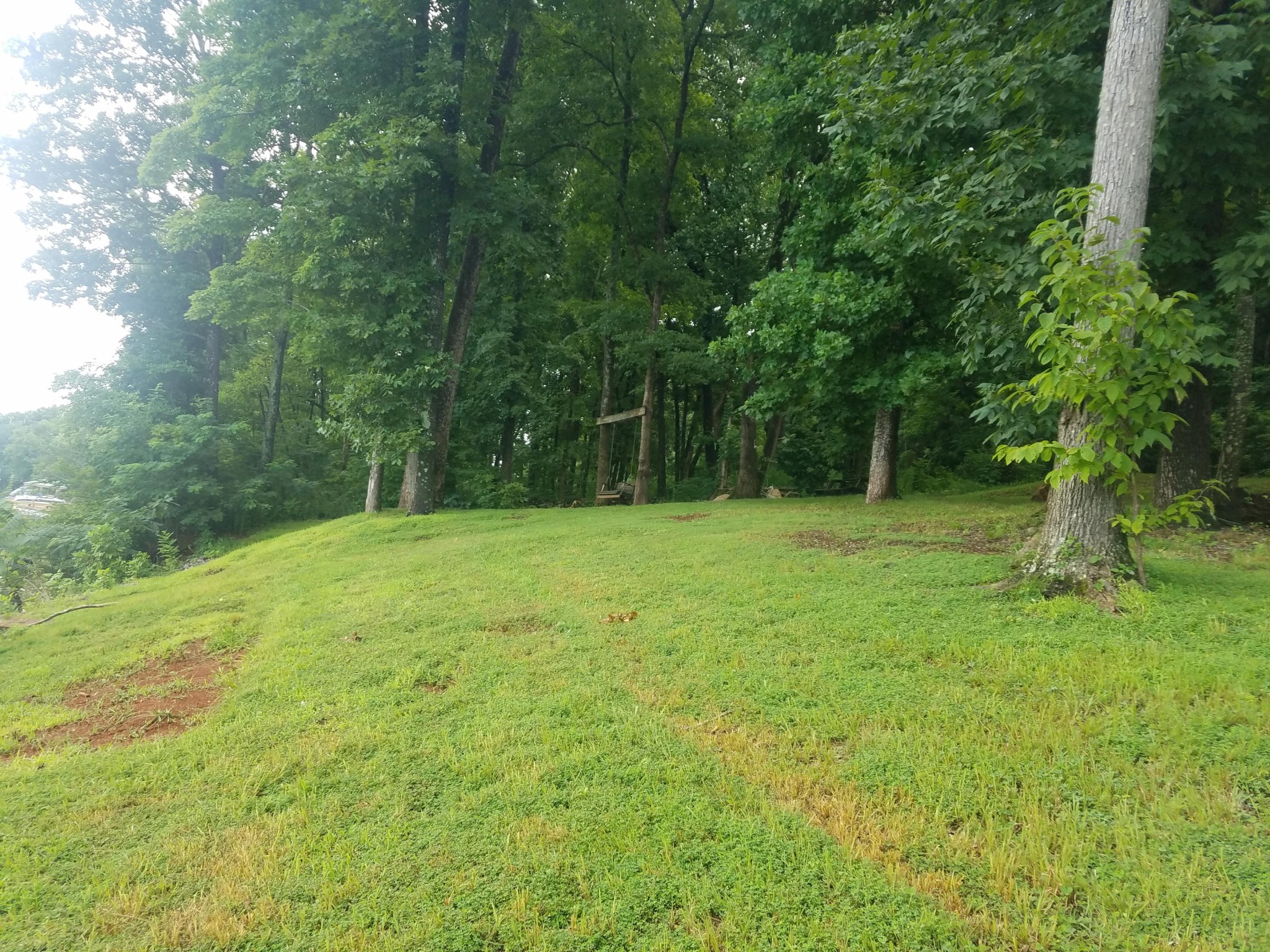 0 Riversedge Road Louisville, TN 37777 - Photo 3 of 6 Gallery Image 3