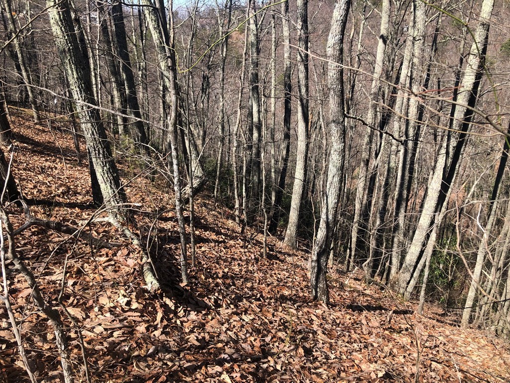 22 Eagle Point Sevierville, TN 37876 - Photo 6 of 8