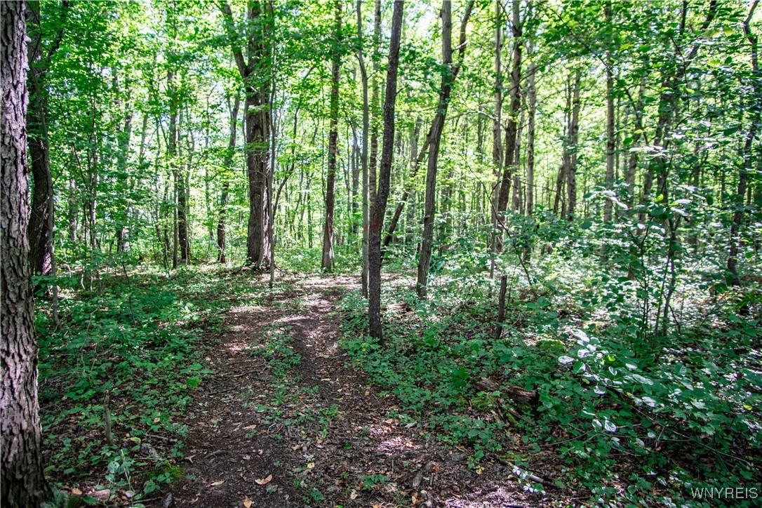 6449 Lawson Road Chautauqua, NY 14757 - Photo 21 of 23