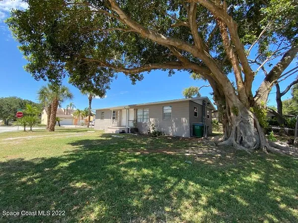 a view of a yard with a tree