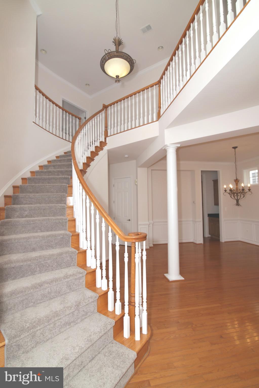 9097 Furey Road Lorton, VA 22079 - Photo 2 of 30 Beautiful curved staircase!