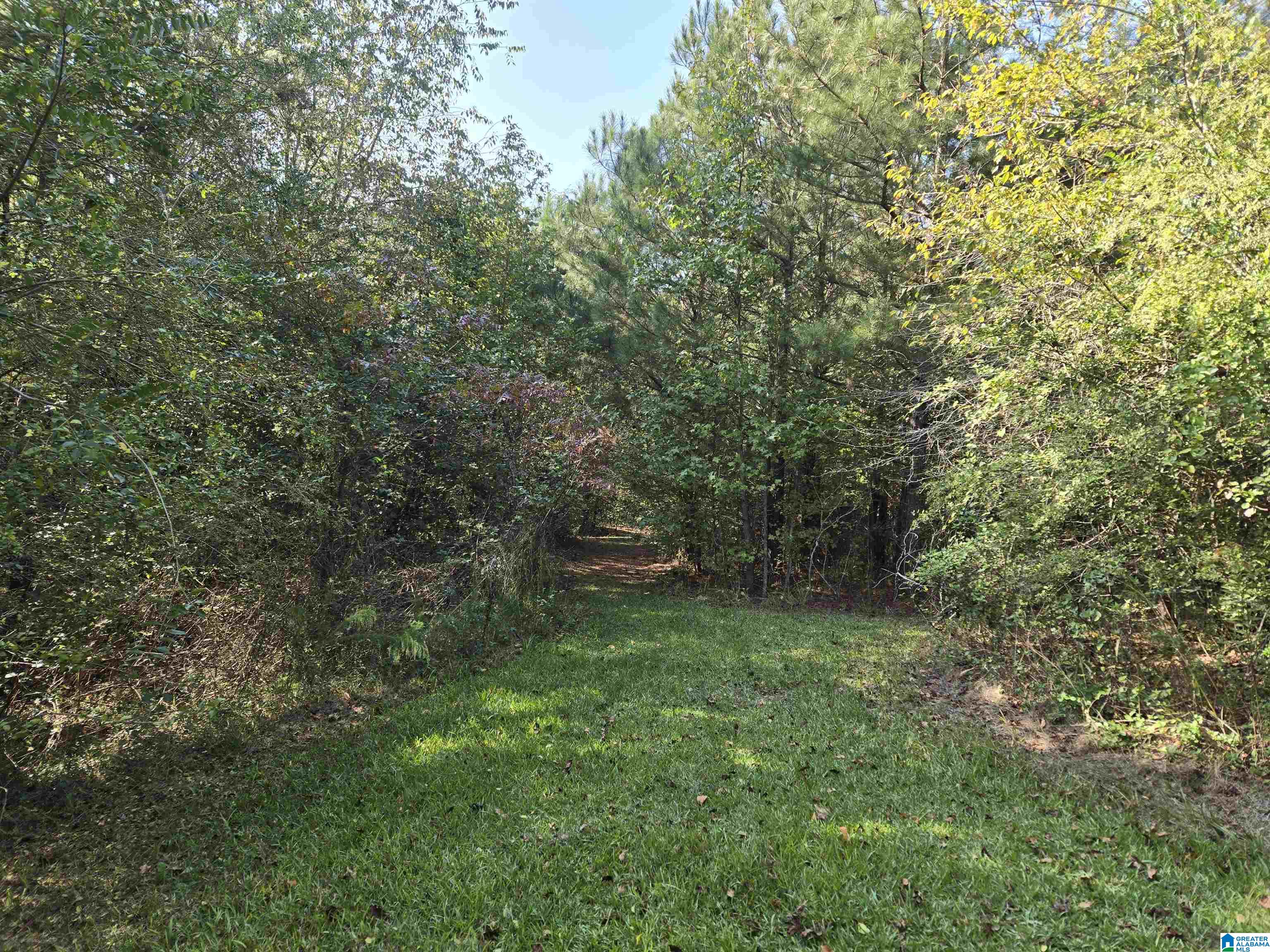 1135 Reneau Road Oneonta, AL 35121 - Photo 3 of 6