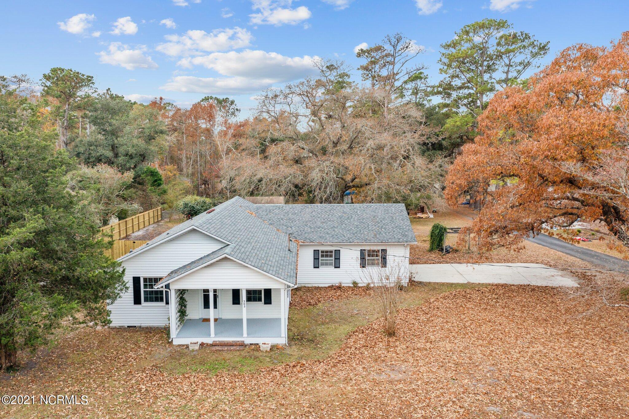 205 Hoover Road Hampstead, NC 28443 - Photo 2 of 60 10-web-or-mls-DJI_0519