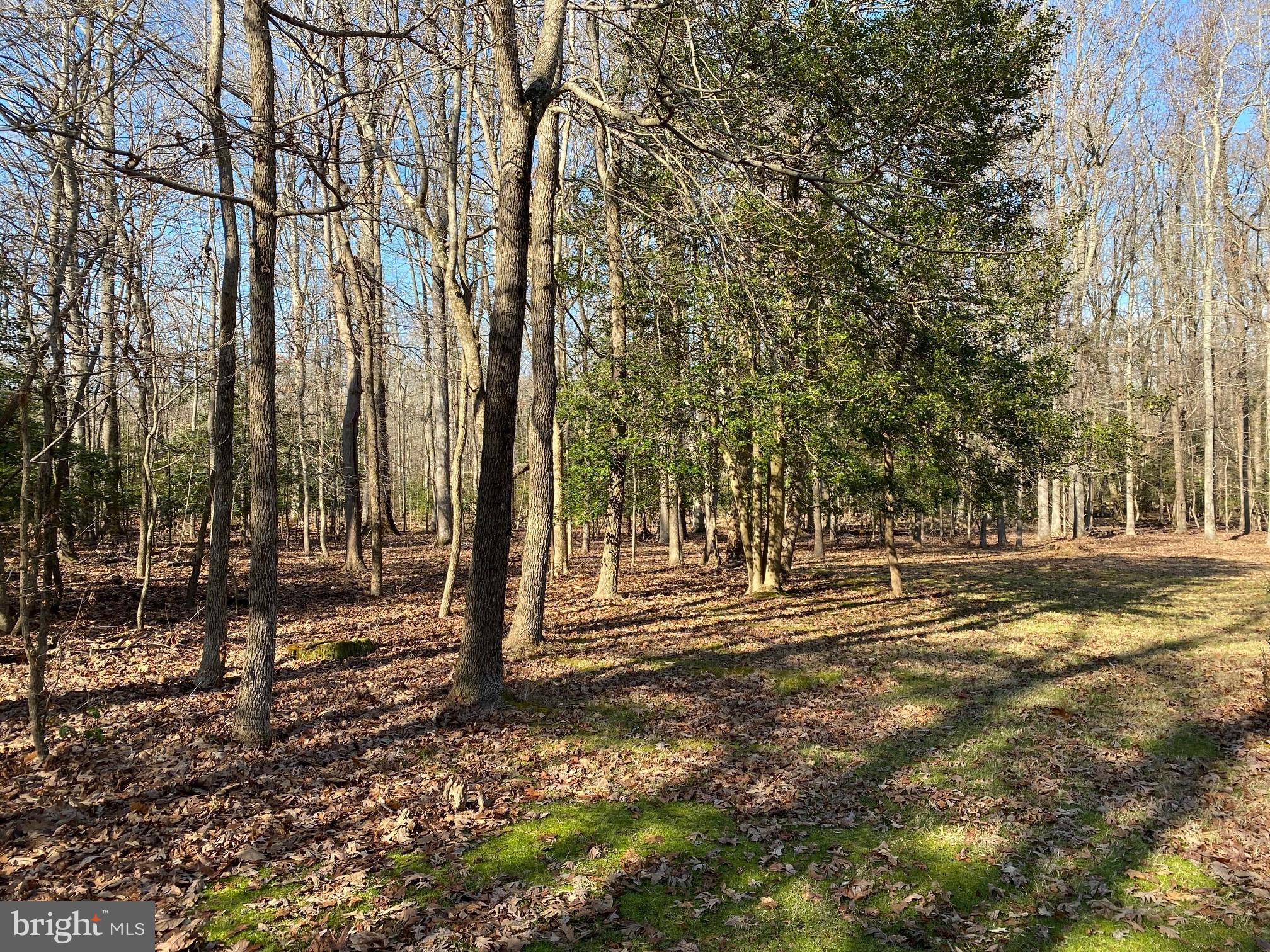 1245 Old Landing Road Accokeek, MD 20607 - Photo 36 of 39
