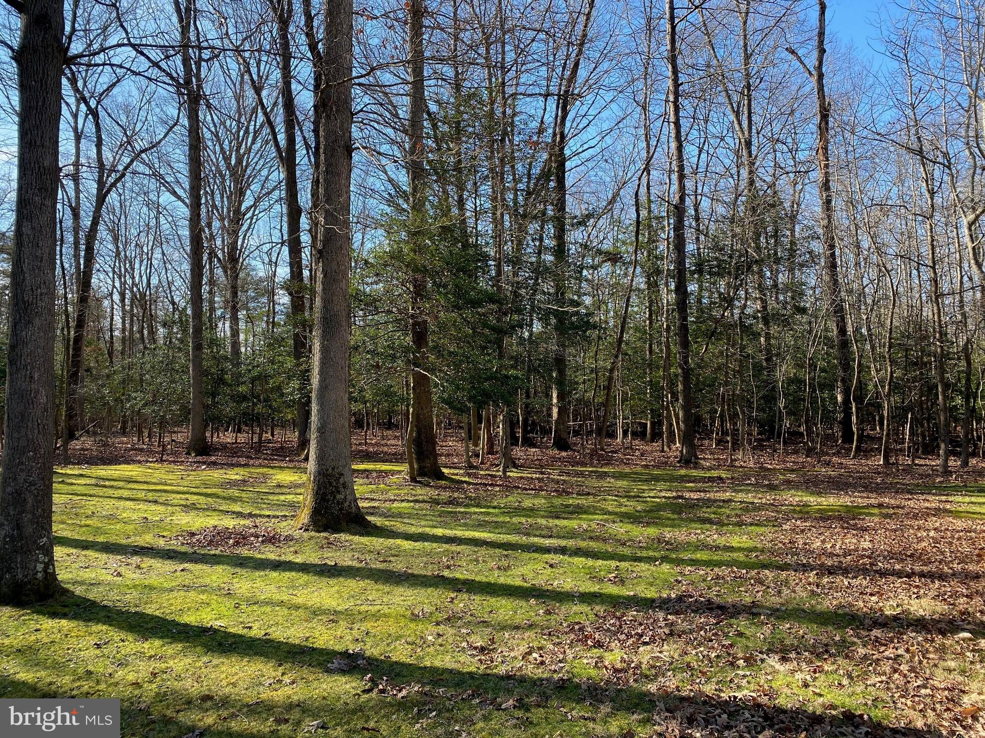 1245 Old Landing Road Accokeek, MD 20607 - Photo 37 of 39