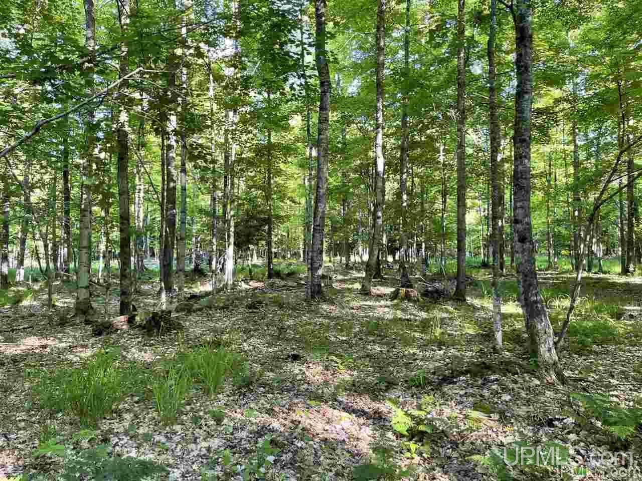 Tbd Tbd Saari Road Lanse, MI 49946 - Photo 6 of 27