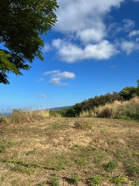 85-5261 Kiilae Road Captain Cook, HI 96704 - Photo 7 of 17 Gallery Image 7