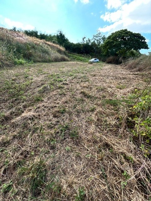 85-5261 Kiilae Road Captain Cook, HI 96704 - Photo 10 of 17 Gallery Image 10