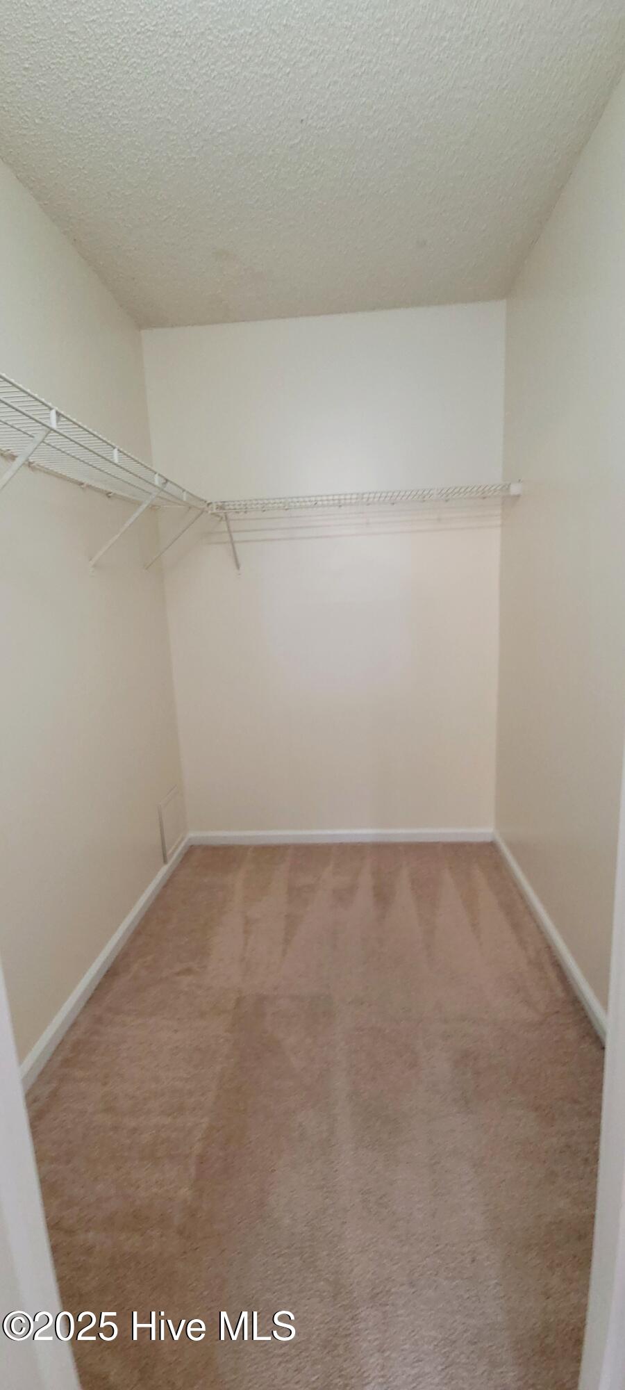 1210 Shipyard Boulevard Wilmington, NC 28412 - Photo 8 of 15 PRIMARY CLOSET