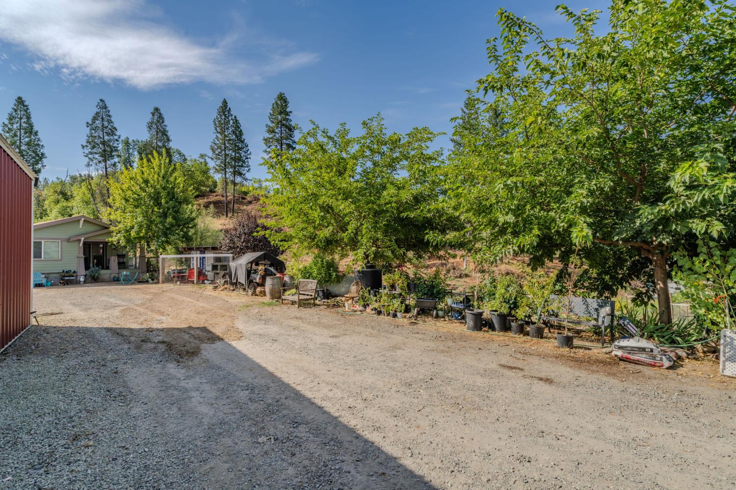 9307 Sun Road Mountain Ranch, CA 95246 - Photo 64 of 96 Gallery Image 64