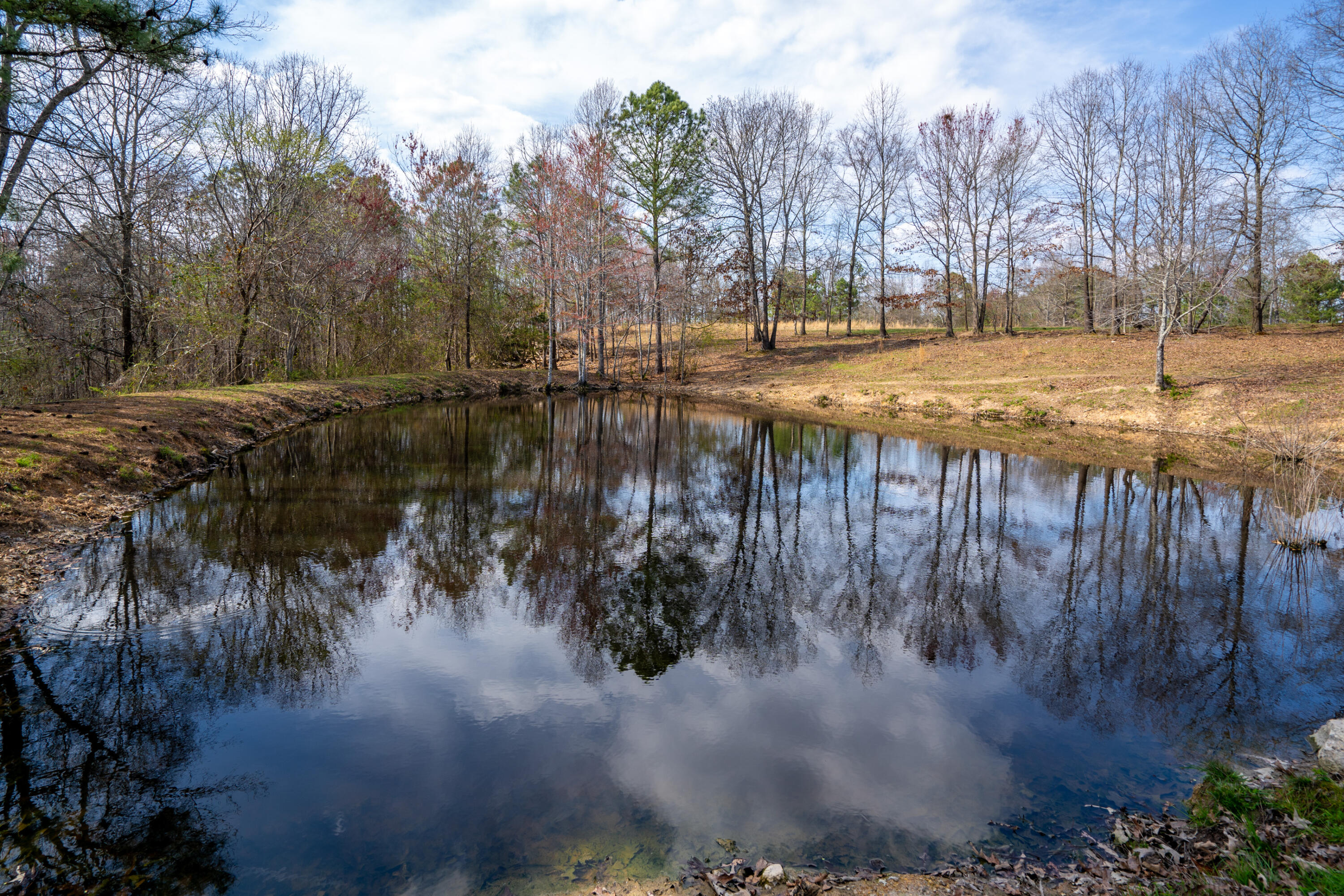 2068 Corinth Road LaFayette, GA 30728 - Photo 43 of 69 Pond 4