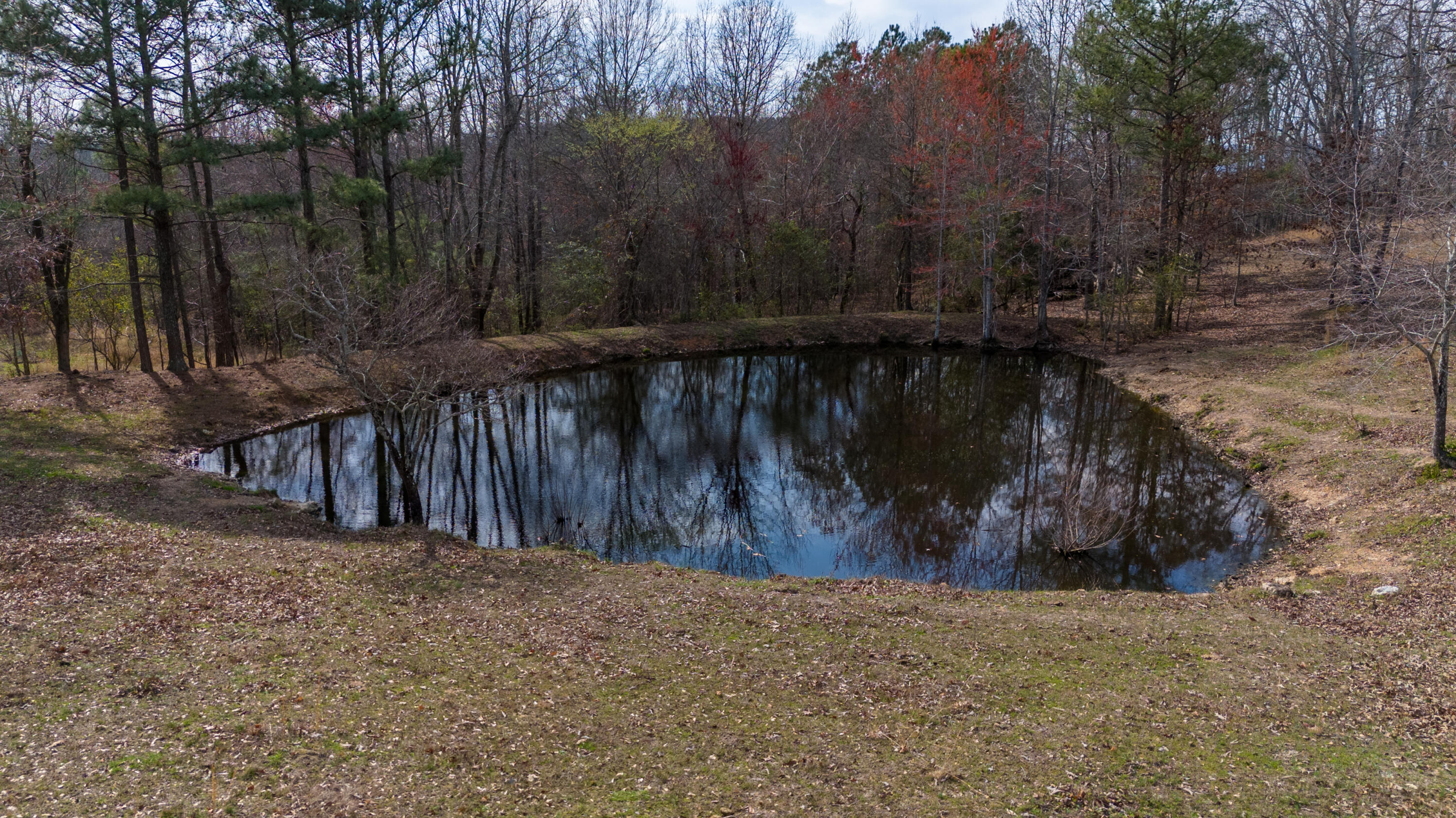 2068 Corinth Road LaFayette, GA 30728 - Photo 44 of 69 Pond 1