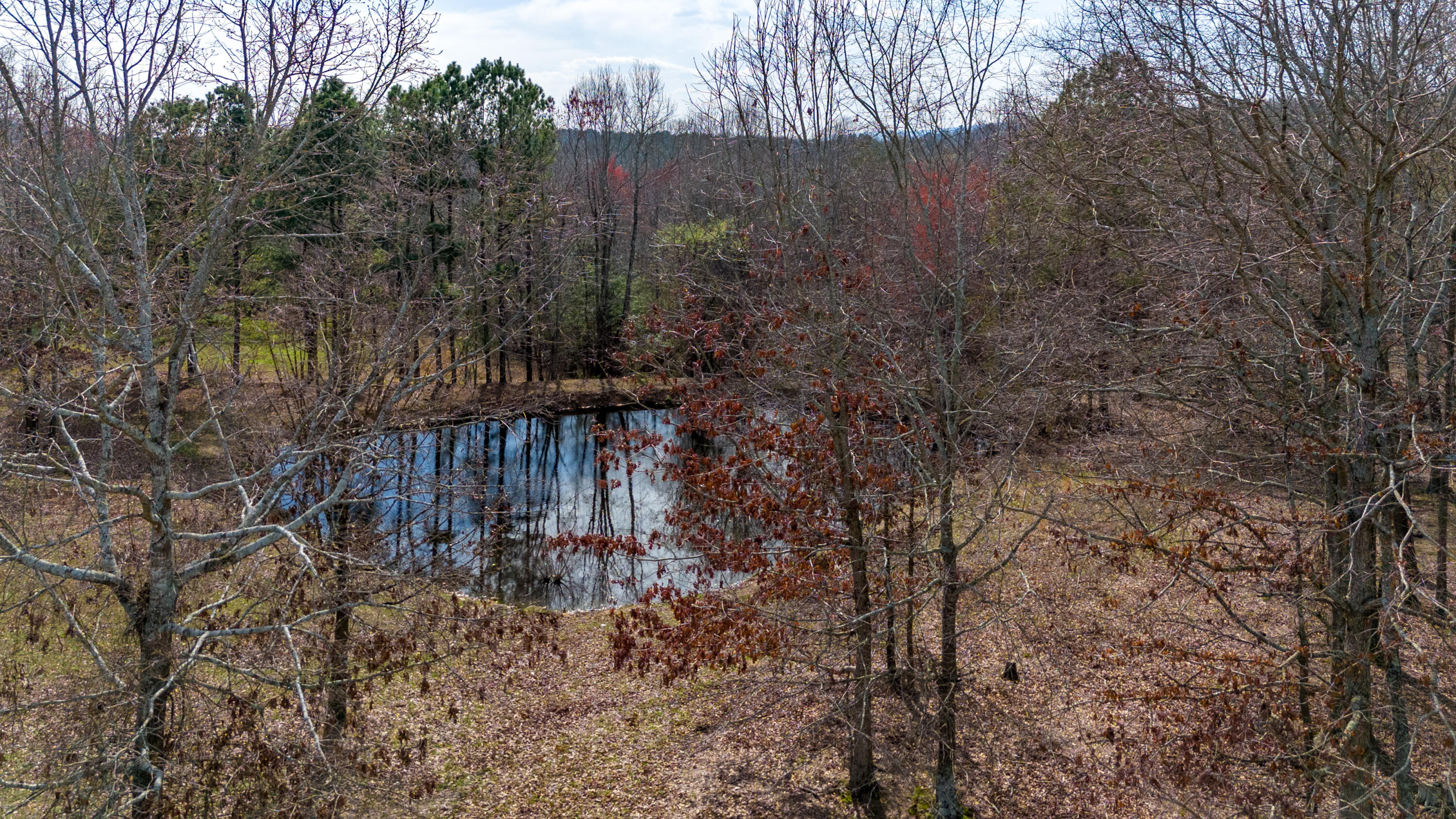 2068 Corinth Road LaFayette, GA 30728 - Photo 45 of 69 Pond