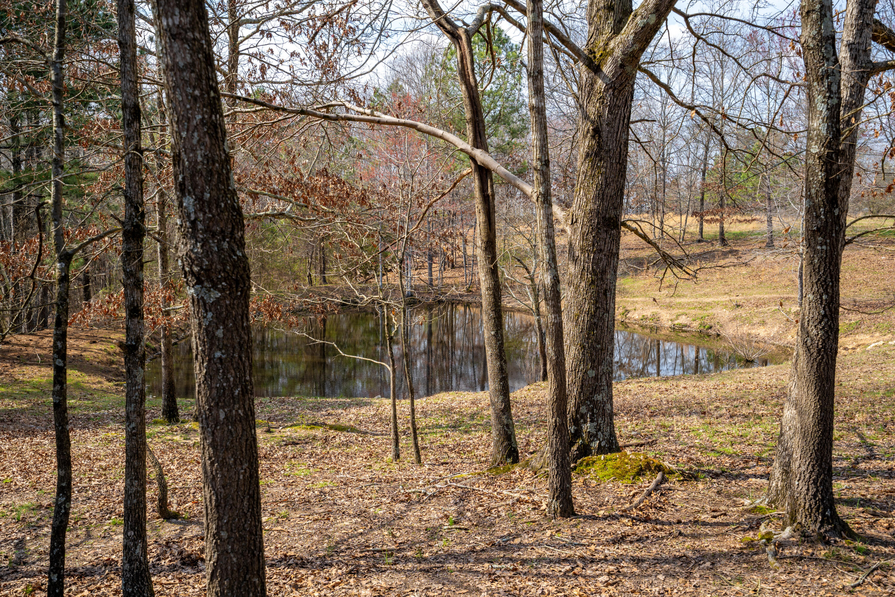 2068 Corinth Road LaFayette, GA 30728 - Photo 46 of 69 Pond 2