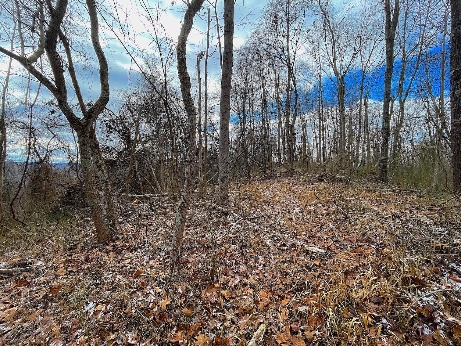 0 Hunting Run Road Lucasville, OH 45648 - Photo 21 of 39 IMG_0553