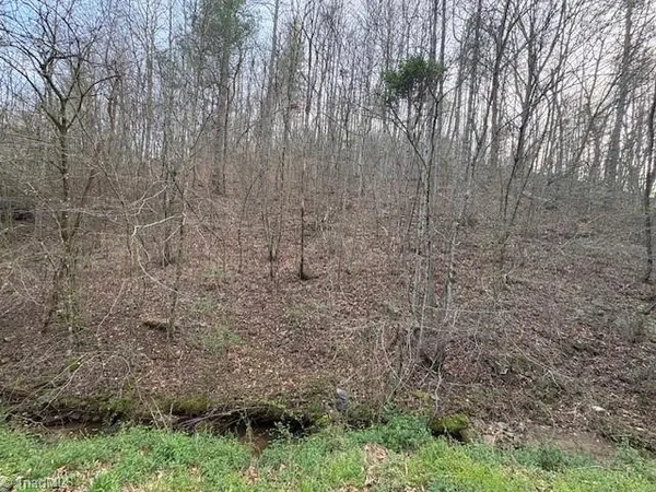 $12,000 | Tbd North Marley Ford Road, Ferguson, NC 28624