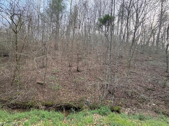 Tbd North Marley Ford Road Ferguson, NC 28624 - Photo 2 of 6