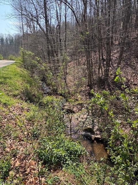 Tbd North Marley Ford Road Ferguson, NC 28624 - Photo 4 of 6