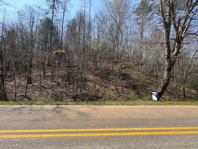 Tbd North Marley Ford Road Ferguson, NC 28624 - Photo 5 of 6