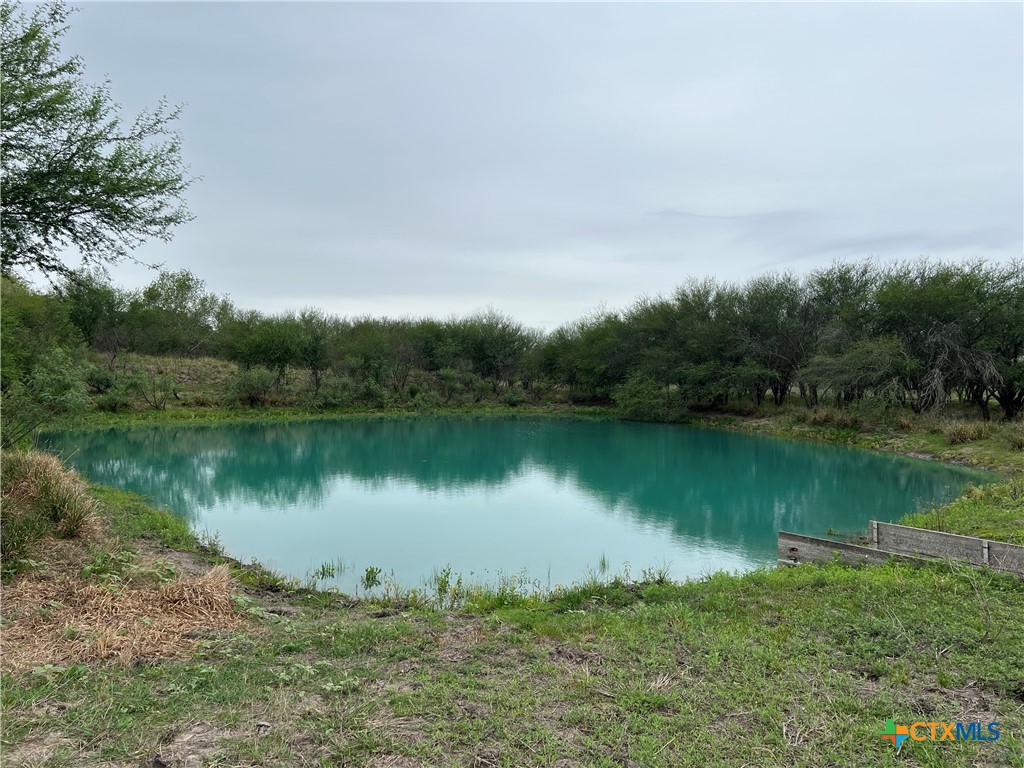 1385 Bego Road Goliad, TX 77963 - Photo 39 of 44 Pond