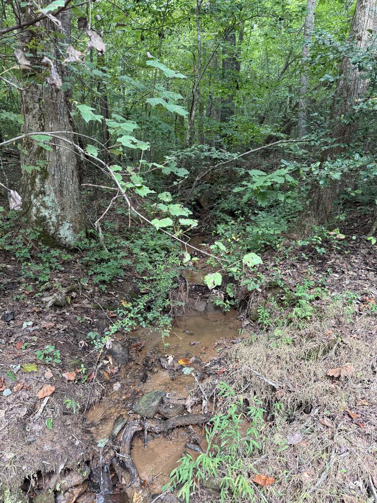 0 Henson Road Hayesville, NC 28904 - Photo 14 of 28 Gallery Image 14