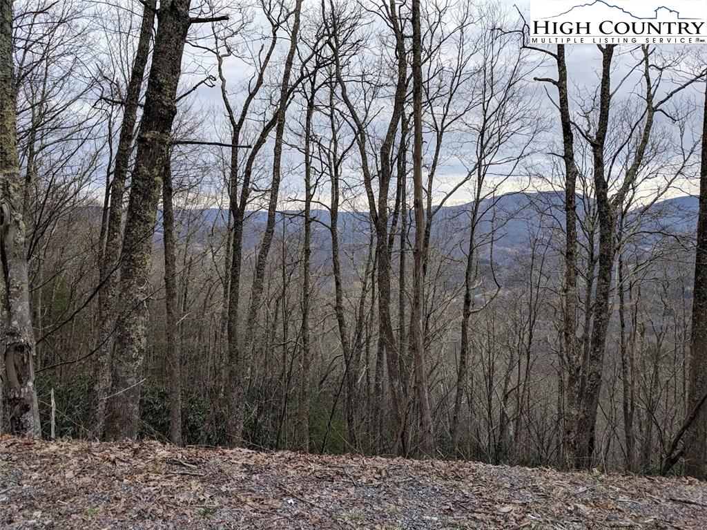 Stone Mtn Road Road Trade, TN 37691 - Photo 3 of 3 Gallery Image 3