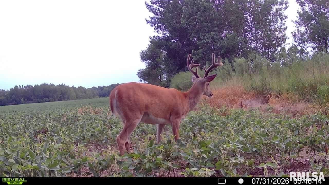 15250 East Ray Road Lewistown, IL 61542 - Photo 40 of 49 Gallery Image 40