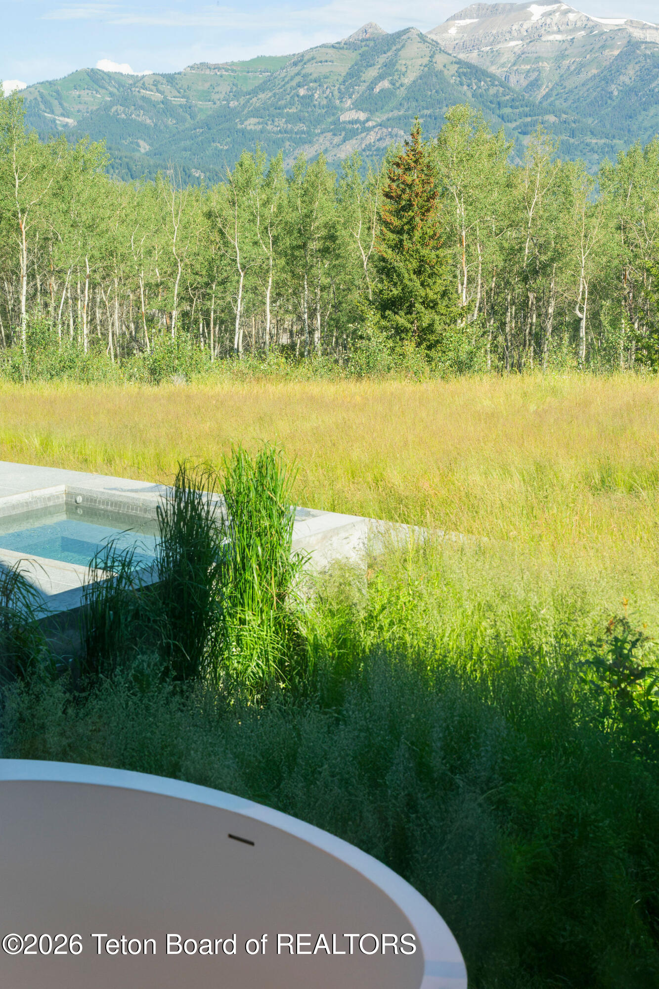 2005 West Bannock Road Jackson, WY 83001 - Photo 48 of 141 Primary bath with hot tub outside