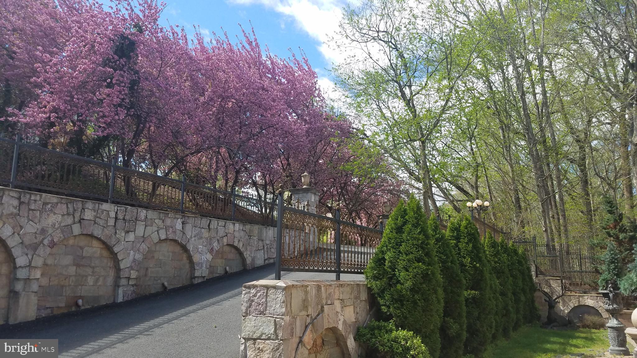 612 Rivercrest Drive McLean, VA 22101 - Photo 8 of 111