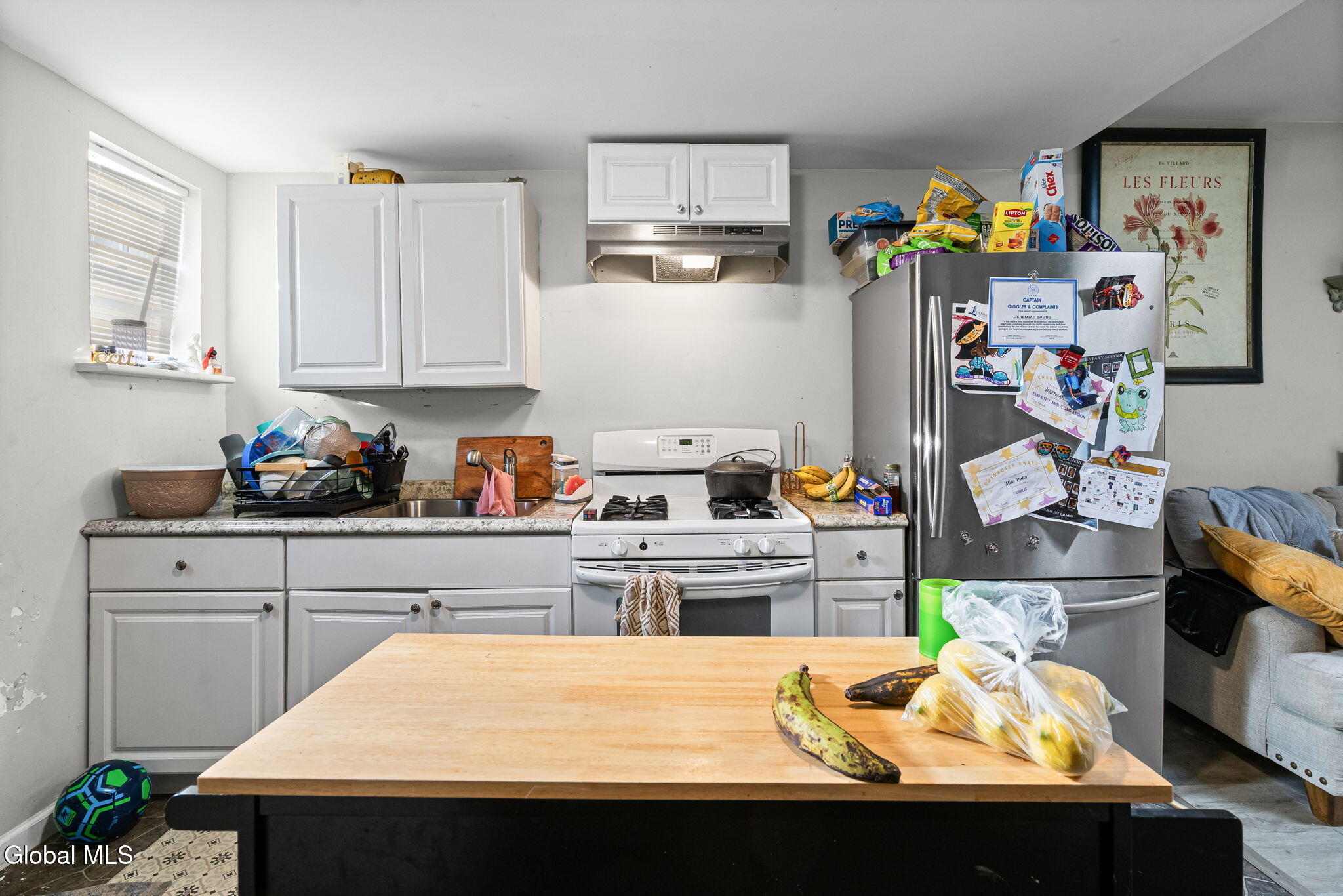 421 4th Street Troy, NY 12180 - Photo 46 of 53 42-web-or-mls-421-4th-st