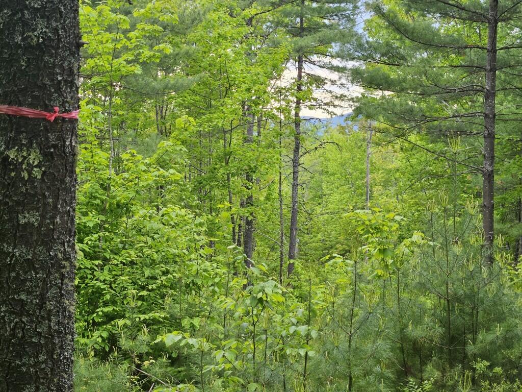 M10-l44 Mountain View Road Fryeburg, ME 04037 - Photo 5 of 36