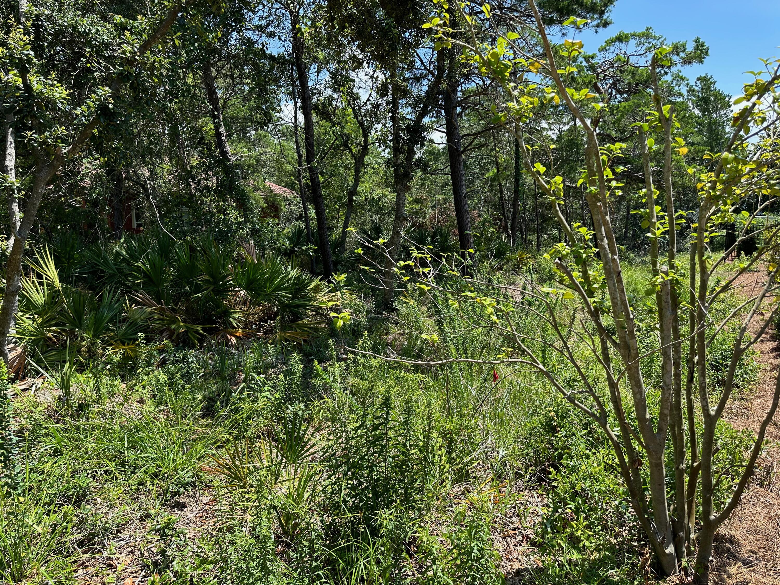 G-18 Sea Winds Drive Santa Rosa Beach, FL 32459 - Photo 11 of 22 front elevation
