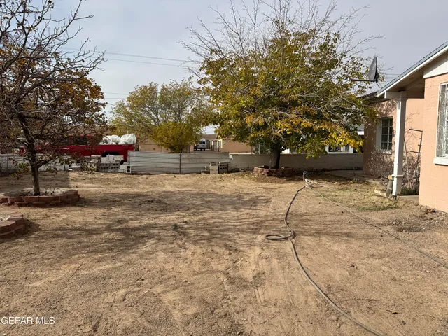 a view of a yard with a tree
