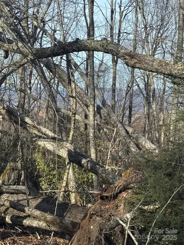 $49,500 | 226 Greenbriar Road, Unit 322C, Beech Mountain, NC 28604