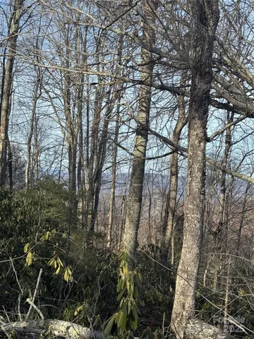 $49,500 | 226 Greenbriar Road, Unit 322C, Beech Mountain, NC 28604