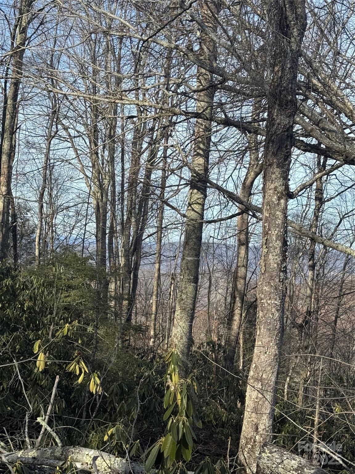 226 Greenbriar Road, Unit 322C Beech Mountain, NC 28604 - Photo 5 of 9