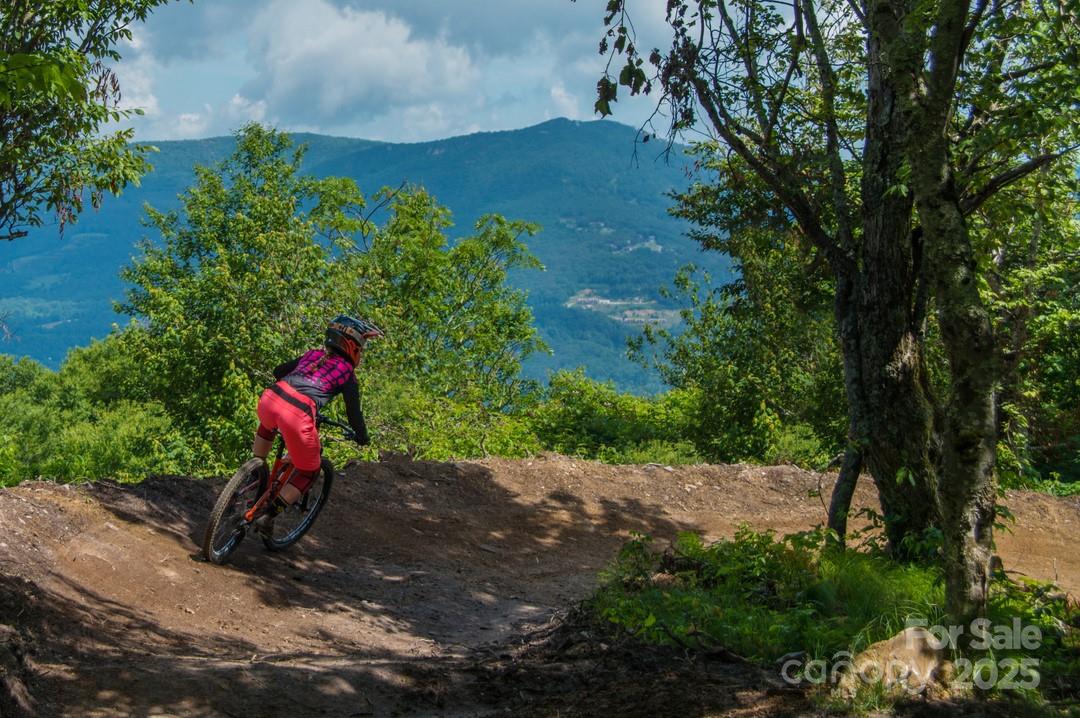 226 Greenbriar Road, Unit 322C Beech Mountain, NC 28604 - Photo 8 of 9