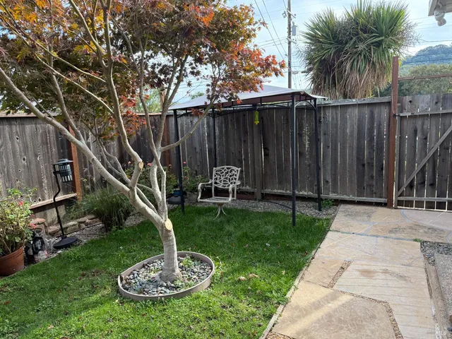 a garden with tall trees