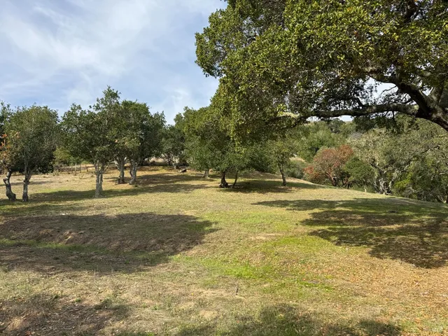 a view of backyard of green space