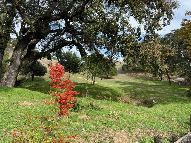 a view of outdoor space and yard