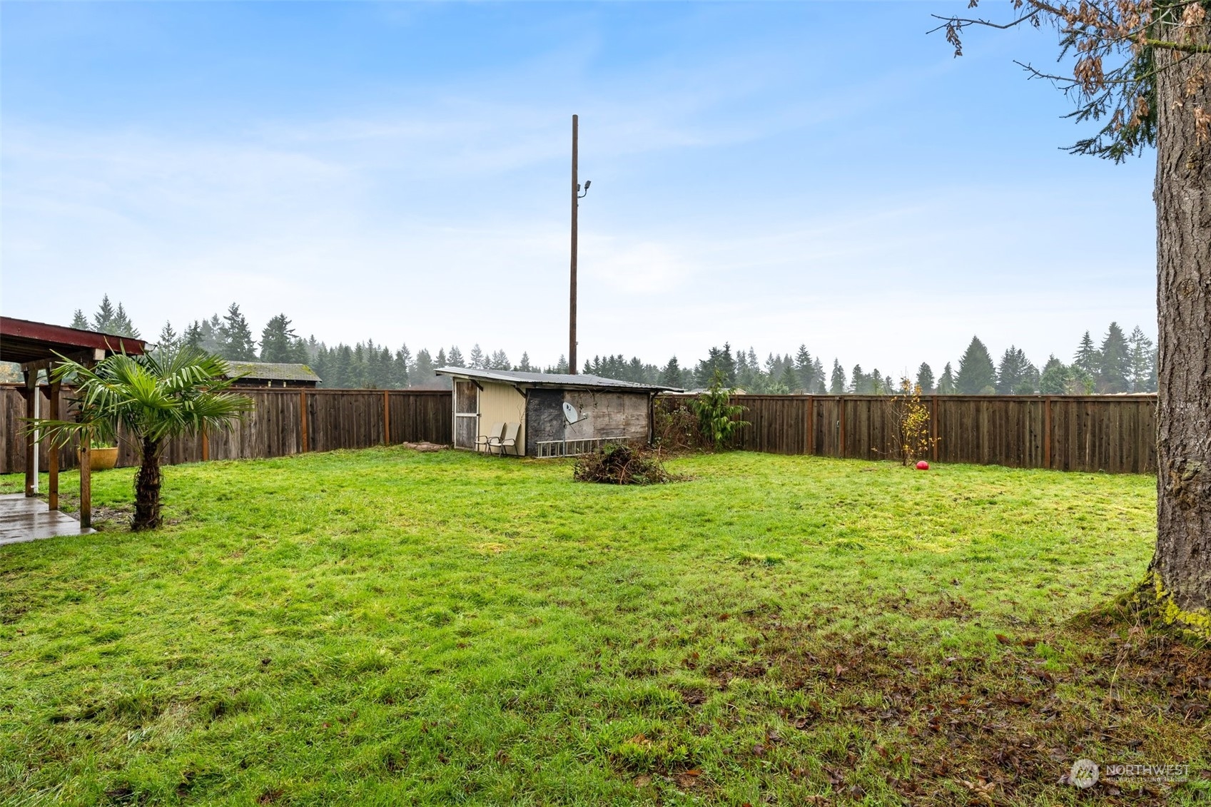 18116 Corvallis Street Southwest Rochester, WA 98579 - Photo 25 of 26 a view of a garden