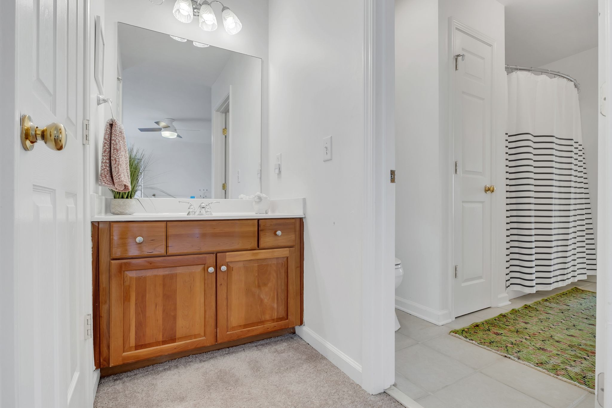 378 Logans Circle Franklin, TN 37067 - Photo 34 of 49 a bathroom with a sink and a mirror