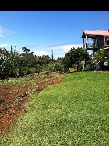 1200 Kokomo Road Haiku, HI 96708 - Photo 17 of 24 a view of a yard with an outdoor space