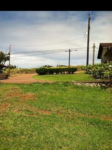 1200 Kokomo Road Haiku, HI 96708 - Photo 18 of 24 a view of a garden with an outdoor space
